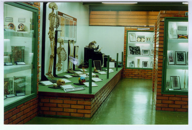 Museu Morfologia.jpg